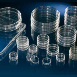 Чашка с поверхностью Nunclon 35 мл 80шт. Thermo Scientific Nunc