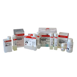 Сальмонелла паратип BO BioSystems