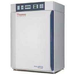8000 WJ 3423 CO2-Инкубатор Thermo Fisher Scientific